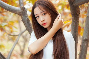 人工智能对上海非营利组织工作的影响